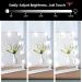 Hollywood Lighted Vanity Mirror with 9 Dimmable LED Bulbs - Slim Metal Frame Design, 10X Magnification, Plug-in Adapter - Makeup Desk/Wall-Mounted - Buy Online on GoSupps.com