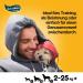 Shop Pedigree Mini Bite Dog Snacks - 6 Pack of Beef & Cheese Biscuits for Training | 840g Delicious Treats - Buy Online on GoSupps.com