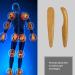 Foot & Hand Massage Wooden Stick | Acupressure Meridian Tool | Mini Finger Massager for Body & Face | Relaxation & Wellness Device - Buy Online on GoSupps.com
