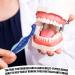 2 dentures case denture box 4 piece denture brush set denture container denture care set prosthesis tooth dental false teeth storage box denture case with denture cleaning brush - Buy Online on GoSupps.com