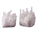 1PC Natural Raw Quartz White Clear Crystal Cluster Stones Crystal Specimen Home Decoration Raw Crystals