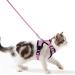 Cat dishes with a leash breakproof cat liner set adjustable soft kitten vest with reflective stripes breast dishes for small kittens (pink XXS) pink xxs