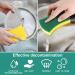 Kitchen Cleaning Sponges Sponges Washing Up 24 Packs Eco Non-Scratch for Dish Cleaning Scrub Sponges Scouring Pad Dish Sponges Sponge Scourers Washing Up Cleaning Sponges - Buy Online on GoSupps.com