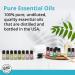 Wild Essentials 100% Pure White Sage Essential Oil - 10ml | Premium Grade Made in USA | Cleansing & Relaxing Aromatherapy Oil - Buy Online on GoSupps.com