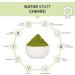Organic Wheatgrass Powder 100g | 100% Pure German Cultivation | DE- KO-007 - Additive-Free Superfood - Buy Online on GoSupps.com