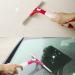 Glass Wiper Products Squeegee with Built in Pump Spray Bottle All Purpose Bathroom Window Squeegee Bathroom - Buy Online on GoSupps.com