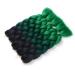 Showjarlly Jumbo Braid Hair Extensions - 24 Inch Ombre KanCalon Braid (5 Pack) for Crochet & Twist Braids - Black/Black Green/Dark Green - Buy Online on GoSupps.com