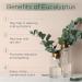 Radha Beauty Eucalyptus Essential Oil 4 oz - 100% Pure & Therapeutic Grade for Aromatherapy, Relaxation, and DIY Projects - Buy Online on GoSupps.com