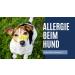 Buy V-Point Allergo Plus for Dogs - Herbal Allergy Relief Powder (250g) for Pollen Grass Dust | Premium Black Cumin Rose Hip & Ginger Formula - Buy Online on GoSupps.com