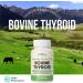 Raw Desiccated Bovine Thyroid 300mg Per Capsule - Energy & Metabolism Support - New Zealand Sourced Grass Fed Freeze-Dried Glandular Bovine Beef Thyroid Non-GMO Tested for Impurities - 60 Capsules - Buy Online on GoSupps.com