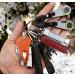 Tick Key Orange - Easy Tick Removal Tool | Shop Now - Buy Online on GoSupps.com