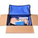 Buy Human Body Airway Management Trainer - PVC Intubation Teaching Model for Oral-Nasal-Tracheal Training | International Shipping Available - Buy Online on GoSupps.com