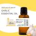 Garlic Essential Oil 16 fl oz (473 ml) Aluminum Bottle w/Plug Cap 100% Pure & Natural Undiluted GreenHealth - Buy Online on GoSupps.com
