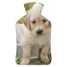 Golden Retriever Dog Hot Water Bottle With Cover Plush Bed Bottle Hand Warmer For Adults And Children 26.5X15.3cm