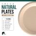 EconoHome 9 Inch Compostable Paper Plates 125-Pack | Eco-Conscious & Microwave-Safe | Heavy Duty Dinner Plates 9 Round - Buy Online on GoSupps.com