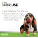 Nutri-cal High Calorie Nutritional Supplement for Dogs 4.25 Ounce (Pack of 3) - Buy Online on GoSupps.com