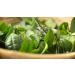 Me mer Finest Darjeeling Loose Tea 150g | Floral-Sweet | Vegan Gluten-Free Lactose-Free International Shipping - Buy Online on GoSupps.com