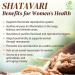 Morsan Healthcare Shatavari Capsules 500 mg | Asparagus Racemosus Extract | 60 Vegan Capsules Pack | Natural Ayurvedic Herbal Supplement for Women | Plant-Based Formula for Daily Wellness - Buy Online on GoSupps.com
