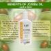 ican London Organic Cold Pressed Jojoba Carrier Oil 100ml - Buy Online on GoSupps.com