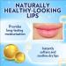 Vaseline Lip Therapy Lip Balm Original 0.25 oz (Pack of 3) - Moisturizing Lip Care Trio - Buy Online on GoSupps.com