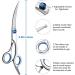 3 Pack Dog Grooming Scissors Set with Safety Round Tip - Stainless Steel Up-Curved Shears for Dogs and Cats with Grooming Comb - Blue - Buy Online on GoSupps.com