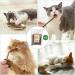 OSDUE Catnip Sticks - 32 Pieces Matatabi Chew Toys for Cats | Dental Care & Breath Freshener - Buy Online on GoSupps.com
