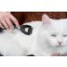 Trixie Universal Groomer for Coat Type 2/4/6 Small Dogs and Cats Medium Plastic / Metal Prongs 5 x 18 cm - Buy Online on GoSupps.com
