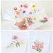 Worown Plastic Paper Making Frame Kit - 5x7 Inch Paper Screen for DIY Crafts - Buy Online on GoSupps.com
