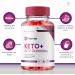 Premier Keto ACV Gummies - Advanced Weight Loss with 1000MG Apple Cider Vinegar Vitamin B12 & Folate (60 Gummies - Buy Online on GoSupps.com