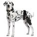 HSHGZSR Dog Knee Brace for Hind Leg Breathable Dog Leg Braces Comfortable Soft Dog ACL Brace Adjustable Pet Back Leg Support Brace for Supporting Dogs with Torn ACL Muscle Hind Leg Joint Discomfort Black L