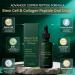 Lotmay Lot de 2 gouttes orales de peptide de collag ne naturel multi-peptides de collag ne gouttes de peptide de collag ne anti- ge peptides de collag ne liquide hydrolys s pour soulever et 2 Pi ces. - Buy Online on GoSupps.com