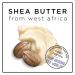 HASK Shea Butter Moisturizing Deep Conditioner Treatments - Pack of 12 (1.75 oz each) | Color Safe, Gluten Free, Sulfate Free, Paraben Free - Buy Online on GoSupps.com