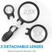 Glass with Light LED Hand-held Magnifier Portable 5.5-inch Super Lens - Easy for Mother and Father to Read Small Fonts 2X 4X 25x Lightweight Handheld Glass Made in China - Buy Online on GoSupps.com