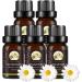 Chamomile Essential Oil Chestnut for Varicose Veins Varicose Veins Treatment Oil Chestnut 5pcs