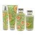 Bath & Body Works Cucumber Melon 4-Piece Gift Set - Limited Edition Holiday Gift with Shower Gel Body Cream Mist & Lotion - Buy Online on GoSupps.com