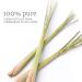 NOW Lemongrass Oil 1-Ounce - Pack of 2 | Pure & Natural Essential Oil - Buy Online on GoSupps.com
