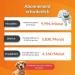 Weeneect XS Mini GPS Tracker for Dogs - Real-Time Tracking Waterproof & Subscription | Smallest Model 2023 - Buy Online on GoSupps.com