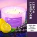 Lemon Lavender 3 Wick Candle | Large 16 Oz Soy Aromatherapy Candle for Stress Relief | Home Scented Candle with Relaxing Lavender and Revitalizing Lemon Scents - Buy Online on GoSupps.com