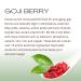 Real Fruit Body Dragonfruit Prickly Pear Goji Exotic Oil Serum - 100% Pure and Natural Vegan Leaping Bunny Certified Cruelty Free - 1 fl ounce | 30 ml 1 Fl Oz (Pack of 1) - Buy Online on GoSupps.com