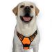 Rabbitgoo dog harness medium -sized dogs anti train crockery dog with control no pull adjustable dog dishes large dogs breathable reflex stripes breast harness dog safe guide orange xl XL (1 Pack) orange