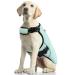 Dog cooling vest dog cooling coat adjustable cooling dog jacket dog breeds Suction -able & cool dog vest for sports hot weather summer (2xl) xxl green green