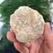 Natural Crystal Rough Natural Crystals and Stones Natural Agate Geode Sphere Egg with Box Crystal Cluster Raw Stone Specimen Rough Irregular Decorative Gift for Decoration 100-150g - Buy Online on GoSupps.com