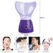 Hoapin Facial Steamer Vaporizer Facial Spa Sauna Vapozone Facial Vaporizer for Cosmetic Face Care Opens Pores and Moisturizes Beneficial Steam - Buy Online on GoSupps.com