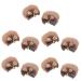 FOMIYES 5 Pairs Bear Ear Hair Clip Ears Barrettes Cat Ears Hair Barrettes Kawaii Hair Accessories Halloween Hair Kawaii Hair Clips Hair Clip Halloween Bear Ears Headgear Miss Iron Animal