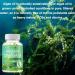 Vegan Omega-3 (120 capsules) Seaweed Oil 475mg - with EPA DHA - Bone & Joint Support - Buy Online on GoSupps.com