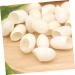 Mipcase Boules Soie Naturelles 20 Pcs Exfoliantes Douces Pour Visage Peaux Sensibles Nettoyage Quotidien Soins Visage Corps - Buy Online on GoSupps.com