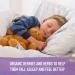 Garden of Life Mykind Organics Kids Elderberry Syrup with Zinc & Vitamin C - Sleep & Immune Support 3.92 fl oz - Buy Online on GoSupps.com