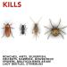 Raid Ant and Roach Killer 1.09 lb (Pack of 4) | Fragrance-Free Formula - Buy Online on GoSupps.com