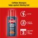 Alpecin Caffeine Shampoo C1 and Liquid Set | Natural Hair Growth for Men | Made in Germany | Strong Hair Energizer | 250ml Shampoo + 200ml Liquid - Buy Online on GoSupps.com