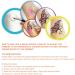 12 Color Professional Face and Body Paint Kit for Halloween Party Cosplay - Water-Based Body Art Makeup Palette Set with Brushes - Buy Online on GoSupps.com